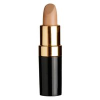 Inthusiasm Concealer